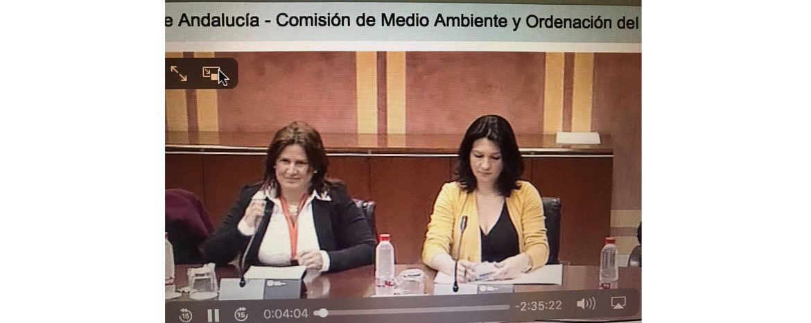 Vanessa Villegas interviene en el Parlamento de Andaucía